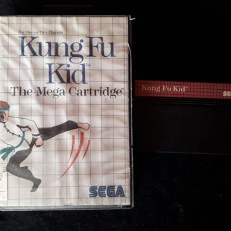 Kung Fu Kid