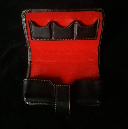 DS Carry Case