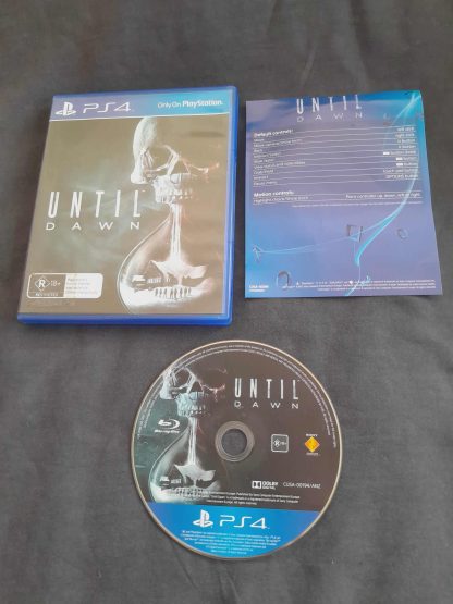 Until Dawn